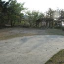 당치회관 Daum카페