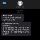 청아동물병원 이미지