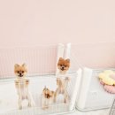 늘봄펫살롱