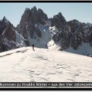 장원동물병원 이미지