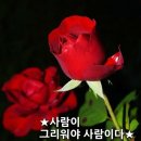 화요일 이미지