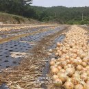 내포 경로당 이미지