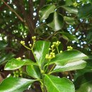 사철슈퍼 이미지