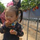 태자농장 이미지