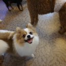 착한개조아 이미지