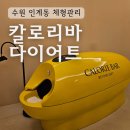 권광로 | 수원 인계동 누워서 체지방 관리 원적외선 돔 혈액순환 칼로리바다이어트 후기