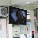 크린토피아송파마천