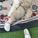 현덕농장 이미지