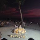 로미하우스 이미지