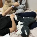 지윤샵