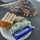 신현카 블루 서비스 | 🐬 괌 블루 돌핀투어 완벽 후기 | 괌 자유여행 돌핀투어 이건 진짜 놓치면 후회해요