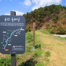 금강올레길 이미지
