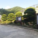 천보로 이미지