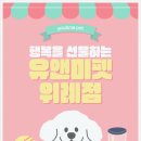 유앤미펫 강아지분양 고양이분양 위례점 이미지