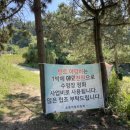 이일레3 이미지
