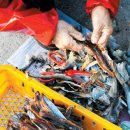 창포마을 이미지