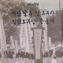 우사