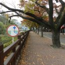 양명여자고등학교 이미지