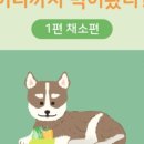 상암동물병원 네이버블로그