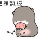 셀빨래방 - 속초시 선사로4길 25 | 셀빨래방