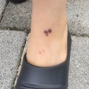 인현피부과의원 이미지