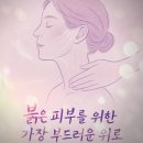 원설아 에스테틱