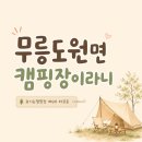 영월 요기는캠핑장 후기 | 무릉도원면 해20 타프존 1일차