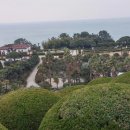 콘도여행