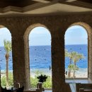 한스당구장 | 시타델 리조트 pickalbatros citadel resort 2박 3일 후기(룸, 뷔페, 부대시설 그리고 인종차별)