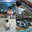 11305-18-308-4 | 부산 명지 아쿠아리움 키즈카페 아쿠아플레이하우스, 8세·5개월 형제 방문 솔직 후기