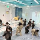 구립 청솔어린이집 이미지