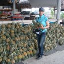 나가지농장 이미지