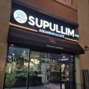 경춘북로 | 실내에서 즐기는 이색데이트 수풀림 아쿠아카페 구리갈매점 물고기 먹이주기 체험 후기