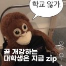 붕붕PC | 엉망진창이어도꼭살아있자우리