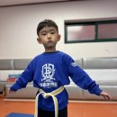 대호태권도체육관 이미지