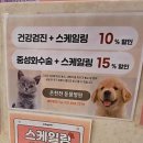 김수의과 동물병원 | 온천천 동물병원 반려견 혹(지방종) 제거 수술 후기, 치석제거후기