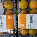 동광농장 이미지