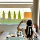 스테이로이 이미지