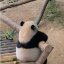 베이쿠마 이미지