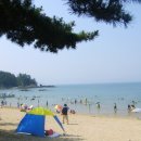 솔향기공원 이미지