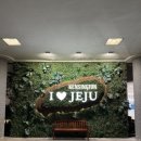 켄싱턴 제주호텔 | 제주 중문 호텔 한림숙소 추천 켄싱턴리조트 서귀포리조트 가족단위 취사 가능 콘도형