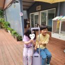 숲에서 온 유정란 | 김포아이와갈만한곳 가농포레스트 병아리 체험농장캠크닉