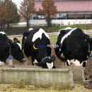 훈장목장 이미지