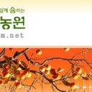 맛있는곶감농원 이미지