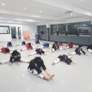 한국체대 최강태권도장 이미지