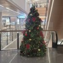 원선1로 | 세부시티 SM J Mall, 야끼니쿠라이크, 마루가메우동, 스시스테이션 식당 후기