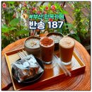 카페 맞아? 부산 기장 감성 폭발 한옥카페 &#39;반송187 &#39;