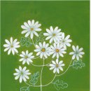 백양 메리야스 이미지