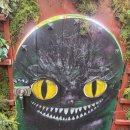 선해식당 | 드라이브 코스 영흥도 편: 고양이역 집사라면 환장할 인천 근처 힐링 스팟