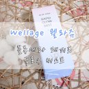 블루세라 | [뷰티윈도] 웰라쥬wellage 블루세라 래피드 글로우 미스트/안개분사 / 쉑쉑미스트 ♥
